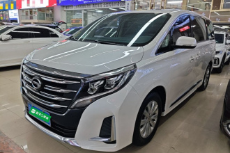 广汽传祺 传祺M8 2020款 领航款 390T 尊享版