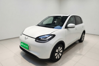 五菱汽车 五菱缤果 2023款 203km 舒享款