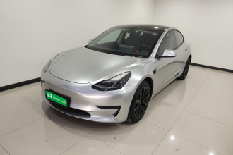 特斯拉 Model 3 2021款 标准续航后驱升级版 3D6