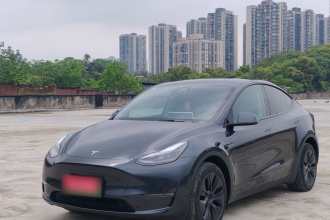 特斯拉 Model Y 2024款 长续航全轮驱动版