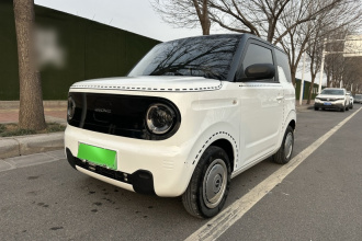 吉利银河 2023款 熊猫mini 200km 耐力熊