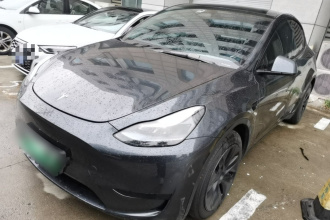 特斯拉 Model Y 2024款 后轮驱动版
