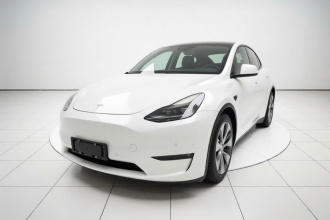 特斯拉 Model Y 2021款 标准续航后驱版