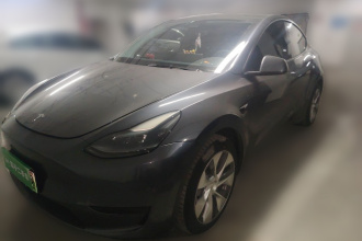 特斯拉 Model Y 2022款 后轮驱动版