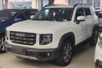 哈弗大狗 2021款 1.5T DCT两驱边牧版