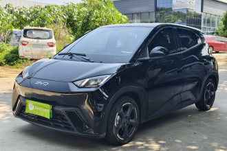 比亚迪 海鸥 2024款 荣耀版 405km 飞翔版