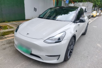 特斯拉 Model Y 2021款 Performance高性能全轮驱动版