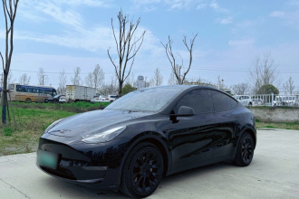 特斯拉 Model Y 2021款 长续航全轮驱动版 3D7