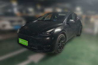 特斯拉 Model Y 2021款 标准续航后驱版
