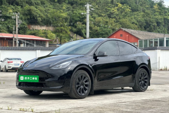 特斯拉 Model Y 2022款 后轮驱动版