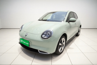 欧拉好猫 2023款 401km标准续航 尊贵型 磷酸铁锂