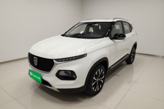 宝骏510 2019款 1.5L 自动尊享型 国V