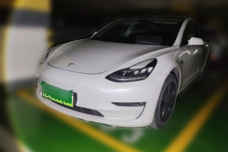 特斯拉 Model 3(进口) 2019款 长续航后驱版