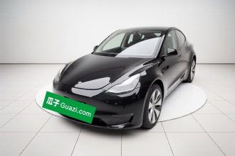 特斯拉 Model Y 2021款 标准续航后驱版