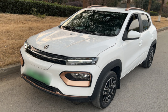 东风纳米 纳米BOX 2022款 追风版 331KM 标准型