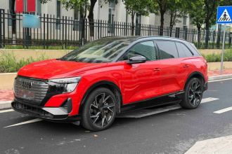 奥迪Q5 e-tron 2022款 50 e-tron quattro edition one 艺创典藏版