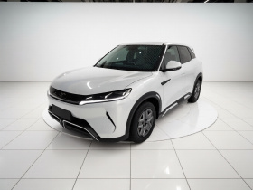 比亚迪 元UP 2024款  401KM 活力版