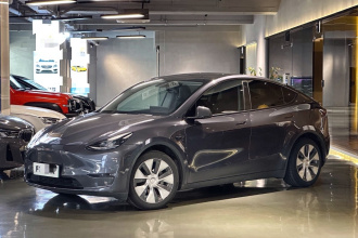 特斯拉 Model Y 2021款 长续航全轮驱动版