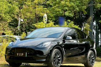 特斯拉 Model Y 2021款 标准续航后驱版