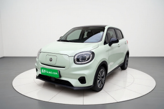 零跑汽车 零跑T03 2024款 310舒享版