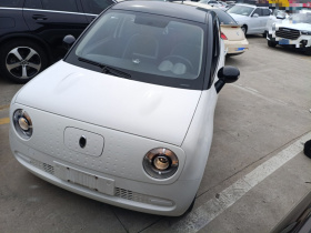 欧拉黑猫 2019款 351km 亲子版