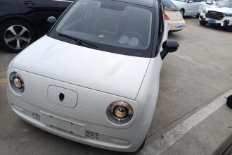 欧拉黑猫 2019款 351km 亲子版