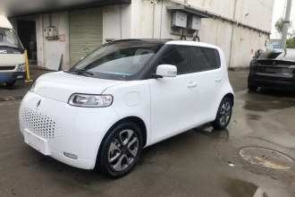 欧拉白猫 2020款 305km 豪华型