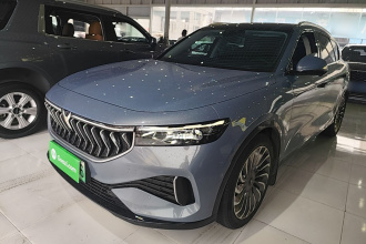 岚图汽车 岚图FREE 2021款 两驱标准纯电城市版