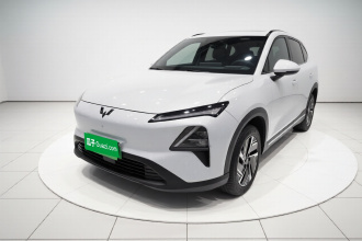 五菱汽车 五菱星光S 2024款 60km 进阶型