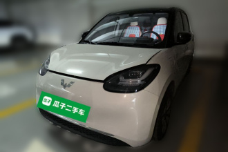 五菱汽车 五菱缤果 2024款 333km 悦享款
