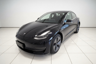 特斯拉 Model 3(进口) 2019款 长续航后驱版