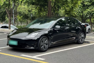 特斯拉 Model 3 2021款 标准续航后驱升级版