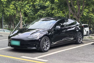特斯拉 Model 3 2022款 后轮驱动版