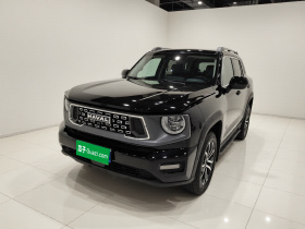 哈弗大狗 PLUS 2023款 2.0T 两驱潮野版Plus