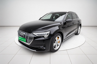 奥迪e-tron(进口) 2019款 55 quattro 时尚型