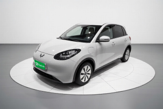 五菱汽车 五菱缤果 2025款 203km 轻享款
