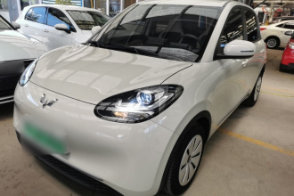 五菱汽车 五菱缤果 2023款 203km 轻享款