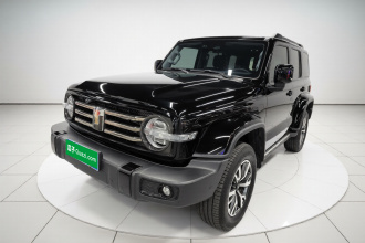 坦克300 2024款 2.0T 穿越者