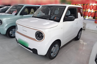 吉利银河 2024款 熊猫mini 200km 耐力熊