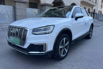 奥迪Q2L e-tron 2019款 Q2L e-tron 纯电智酷型