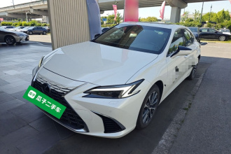 雷克萨斯ES 2025款 300h 臻享版