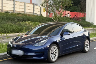 特斯拉 Model 3 2021款 标准续航后驱升级版
