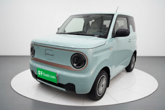 吉利银河 2024款 熊猫mini 200km 耐力熊