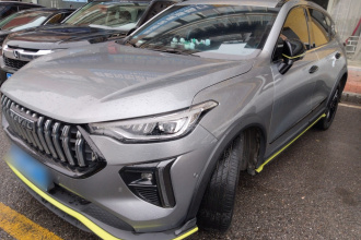 哈弗赤兔 2021款 激擎版 1.5T 铂金兔