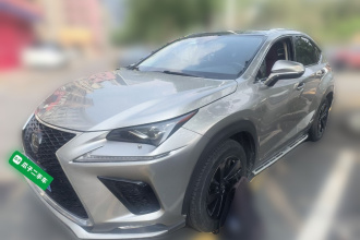 雷克萨斯NX 2019款 300h 百万纪念限量版 国VI