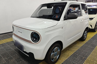 吉利银河 2023款 熊猫mini 200km 耐力熊