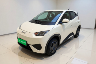 比亚迪 海鸥 2025款 智驾版 305km 活力版