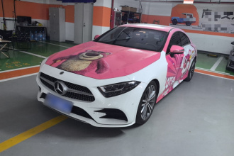 奔驰CLS 2021款 CLS 300 动感型