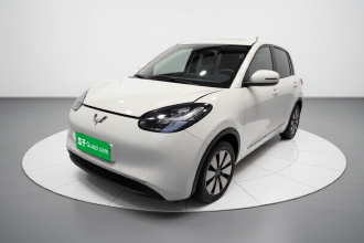 五菱汽车 五菱缤果 2023款 203km 舒享款