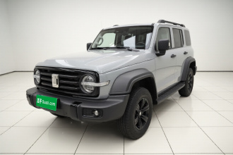 坦克300 2024款 2.0T 挑战者